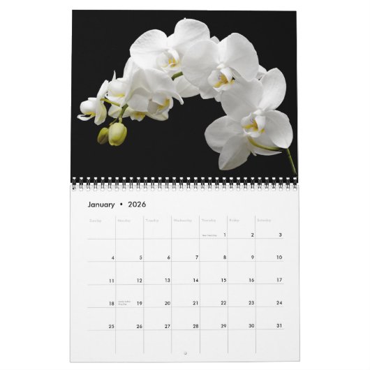 Orchids-Kalender Kalender (Jan 2026)