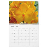 Orchids-Kalender Kalender (Mär 2026)