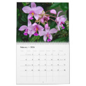 Orchids-Kalender Kalender (Feb 2026)