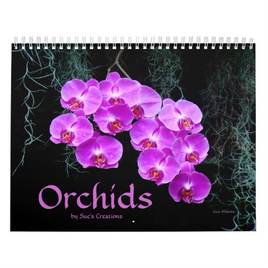 Orchids-Kalender Kalender (Titelbild)