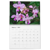 Orchids-Kalender Kalender (Feb 2027)