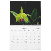 Orchids-Kalender Kalender (Mär 2027)