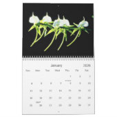 Orchids-Kalender Kalender (Jan 2026)