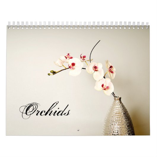 Orchids-Kalender Kalender (Titelbild)