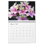 Orchids-Kalender Kalender (Feb 2027)