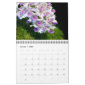 Orchids-Kalender Kalender (Jan 2027)
