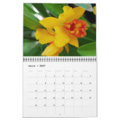 Orchids-Kalender Kalender (Mär 2027)