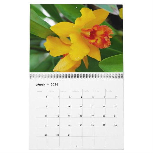 Orchids-Kalender Kalender (Mär 2026)