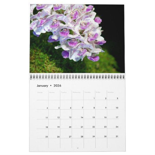 Orchids-Kalender Kalender (Jan 2026)