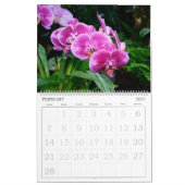 Orchids-Kalender mit 12 Monaten Kalender (Feb 2027)