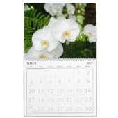 Orchids-Kalender mit 12 Monaten Kalender (Mär 2019)