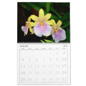 Orchids-Kalender mit 12 Monaten Kalender (Jan 2026)