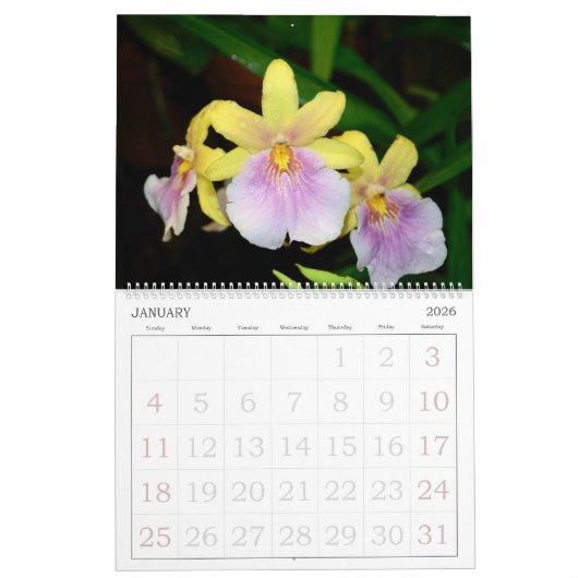 Orchids-Kalender mit 12 Monaten Kalender (Jan 2026)