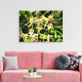 Orchids-Leinwand Leinwanddruck (Insitu (Wohnzimmer))