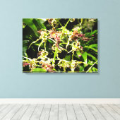 Orchids-Leinwand Leinwanddruck (Insitu (Holzboden))