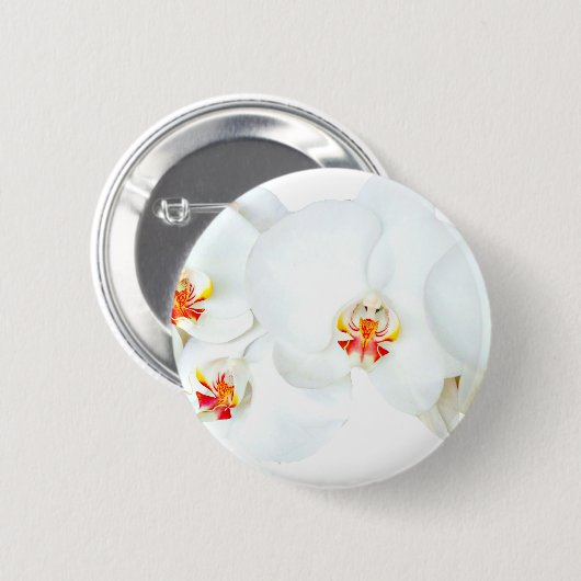 Orchids Liebe_ Button (Vorne & Hinten)