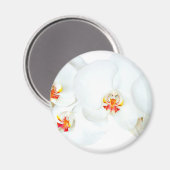 Orchids Liebe_ Magnet (Vorderseite/Rückseite)