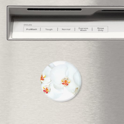 Orchids Liebe_ Magnet (In Situ (Geschirrspüler))