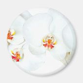 Orchids Liebe_ Magnet (Vorne)