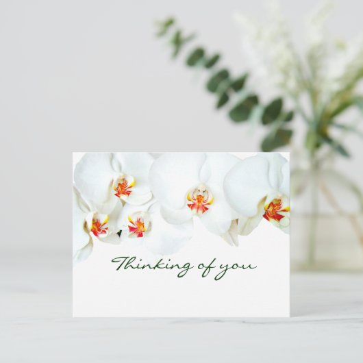 Orchids Liebe_ Postkarte (Stehend Vorderseite)