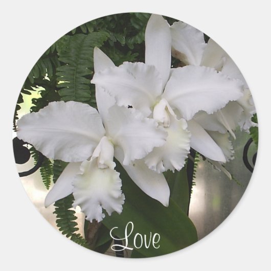 Orchids-Liebe Runder Aufkleber (Vorderseite)