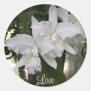 Orchids-Liebe Runder Aufkleber