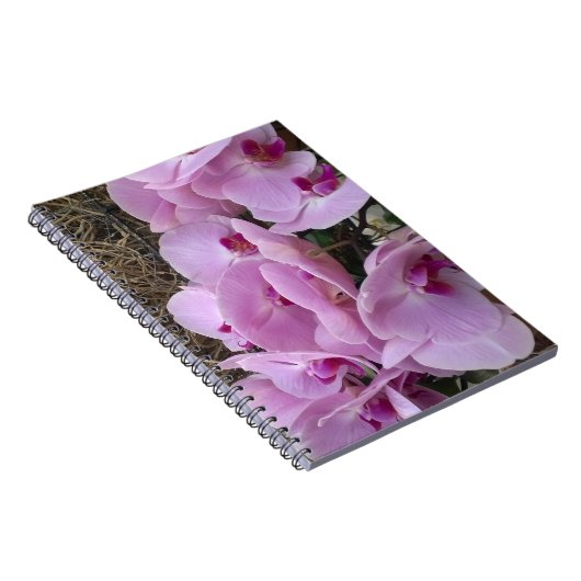 Orchids Notizblock (Rechte Seite)