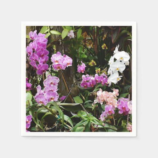 Orchids Paper Napkins Serviette (Vorderseite)
