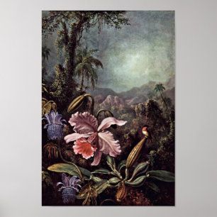 Orchids Passion Blume und Hummingbirds von Martin Poster