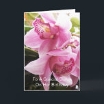 Orchids Personalisiert Sister Birthday Karte<br><div class="desc">Grußkarte rosa Orchideen Schwester Geburtstagskarte. Passen Sie diese Geburtstagskarte mit jedem beliebigen Text an und lassen Sie sie dann ausdrucken und an Sie senden oder laden Sie sie sofort auf Ihr Mobiltelefon herunter. Wenn Sie Hilfe bei der Anpassung benötigen, kontaktieren Sie uns über den Link auf dieser Seite. Blumenfotografie personalisierte...</div>