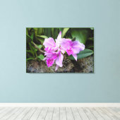 Orchids Portrait Leinwanddruck (Insitu (Holzboden))
