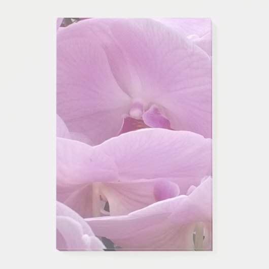 Orchids Post-it Klebezettel (Vorderseite)
