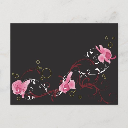Orchids Postkarte (Vorderseite)
