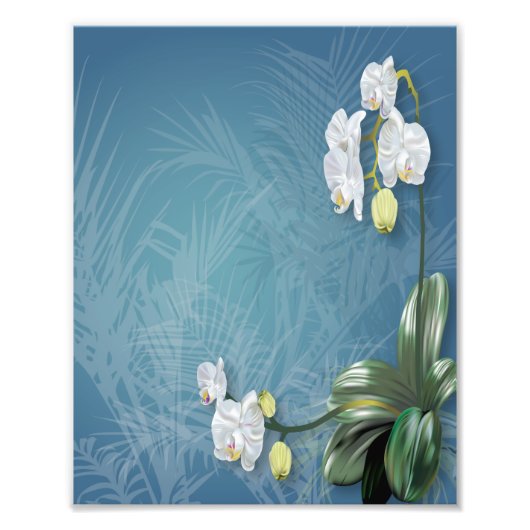Orchids und Ferns Fotodruck (Vorne)