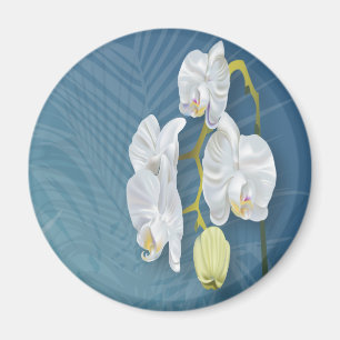 Orchids und Ferns Magnet