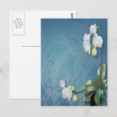 Orchids und Ferns Postkarte (Vorne/Hinten)