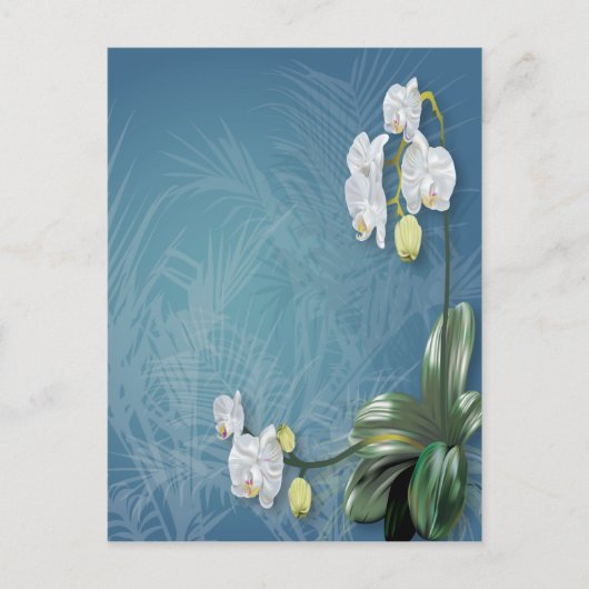 Orchids und Ferns Postkarte (Vorderseite)