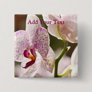 Orchids von Shirley Taylor Button