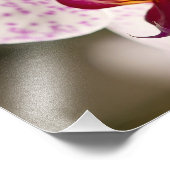 Orchids von Shirley Taylor Fotodruck (Ecke)