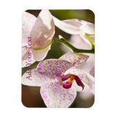Orchids von Shirley Taylor Magnet (Vertikal)