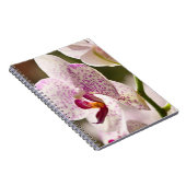 Orchids von Shirley Taylor Notizblock (Rechte Seite)