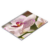 Orchids von Shirley Taylor Notizblock (Linke Seite)