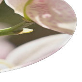 Orchids von Shirley Taylor Schneidebrett (Ecke)