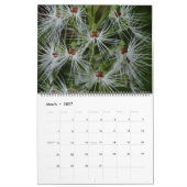 Orchids Wall Calendar Kalender (Mär 2027)