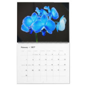 Orchids Wall Calendar Kalender (Feb 2027)