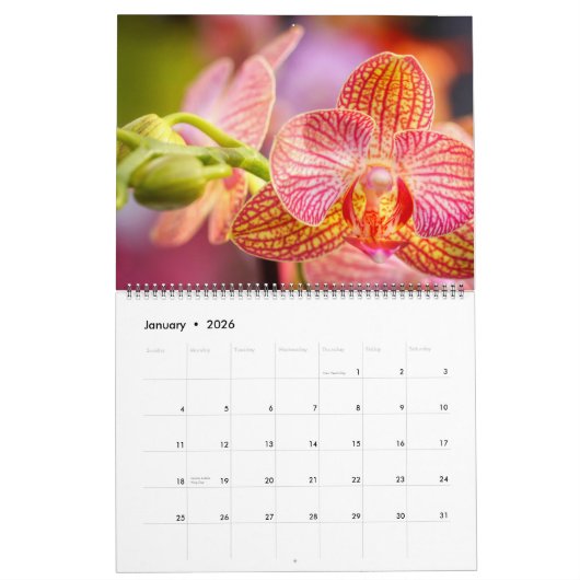 Orchids Wall Calendar Kalender (Jan 2026)