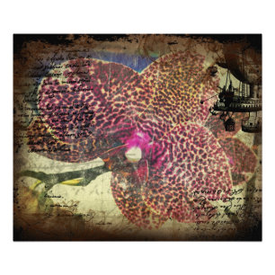 OrchidVALENTINE Druck