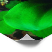 Orchis-Wildblumen Poster (Ecke)