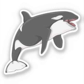Orcinus Orca Vektorgrafik Aufkleber