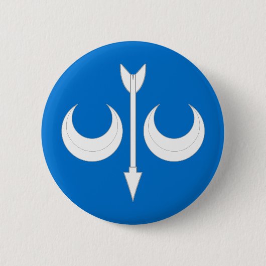 Orden des silbernen Pfeilknopf Button (Vorderseite)